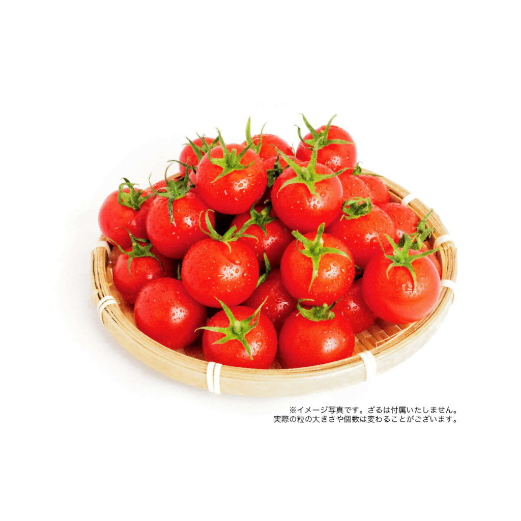 特価店 無農薬栽培ミニトマト3種類他 - ネット直売 - zenitstocks.com